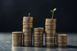 How Equity Loan Calculator